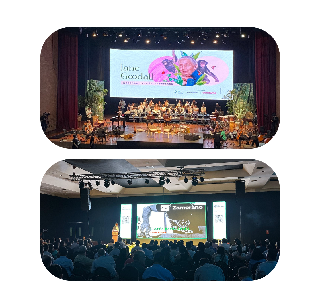 Congresos y Conferencias
